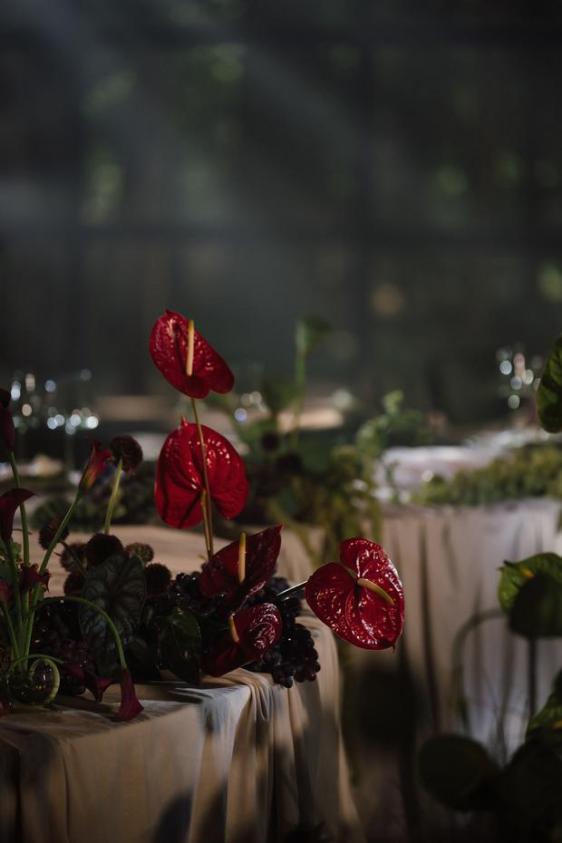 image-95570fc76516553c341c36e88b2968c1